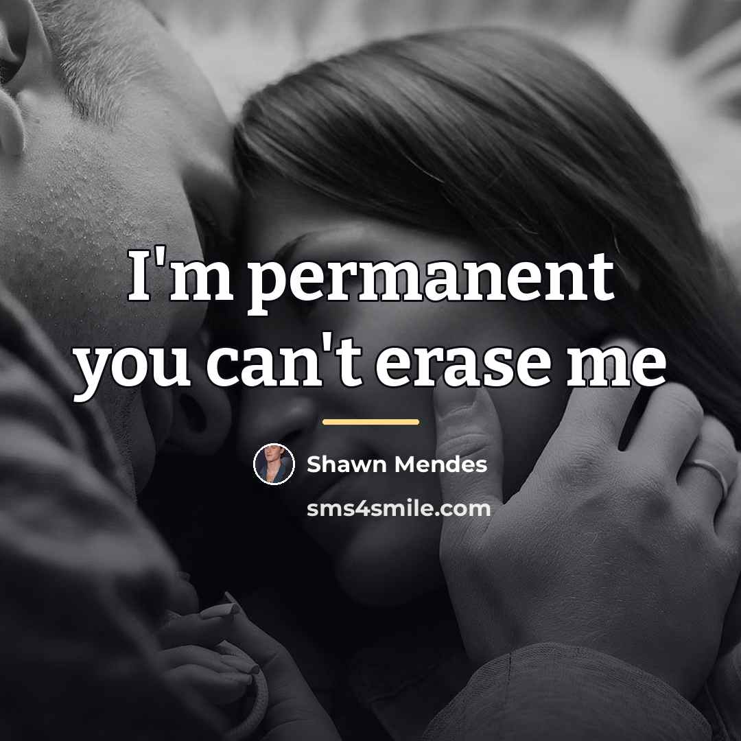 “I'm permanent you can't erase me…” quote by Shawn Mendes