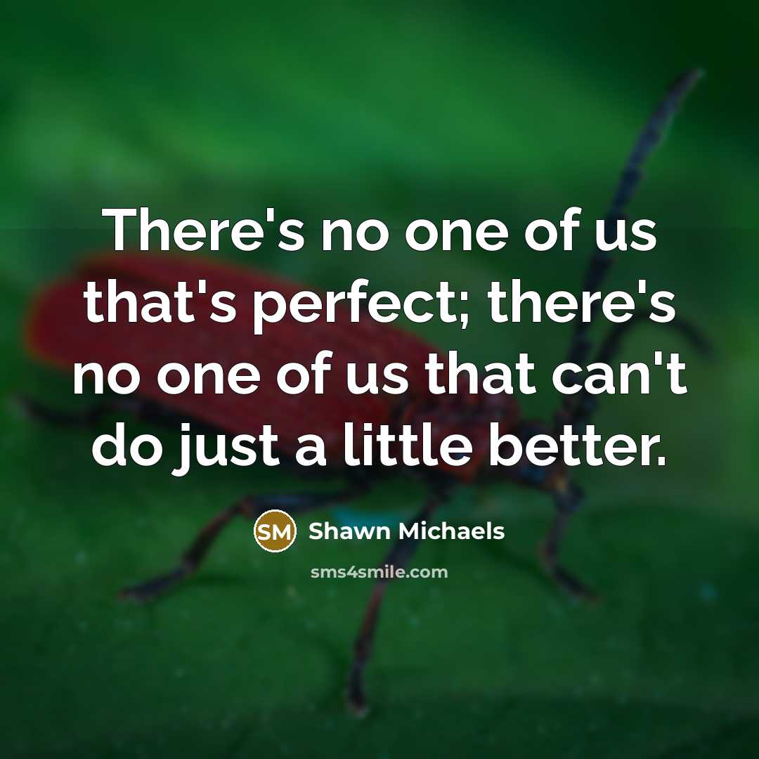 “There's no one of us that's perfect; there's no one…” quote by Shawn Michaels