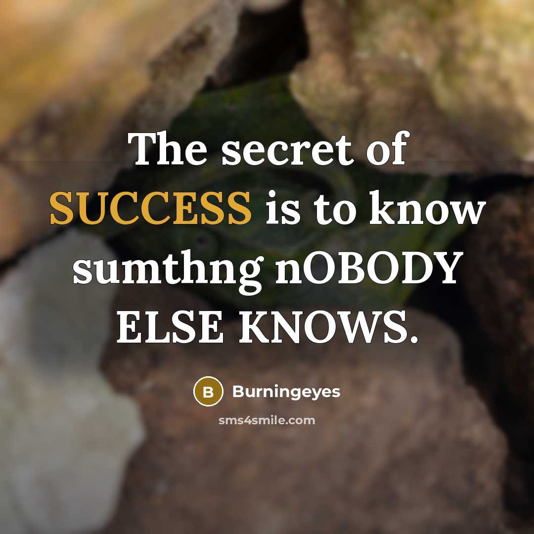 “The secret of SUCCESS is to know sumthng nOBODY ELSE…” quote by Burningeyes