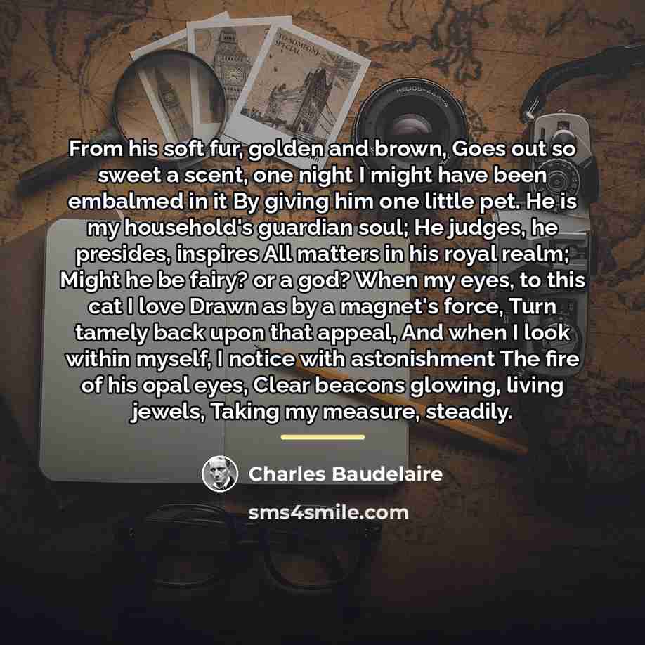 “From his soft fur, golden and brown, Goes out so…” quote by Charles Baudelaire