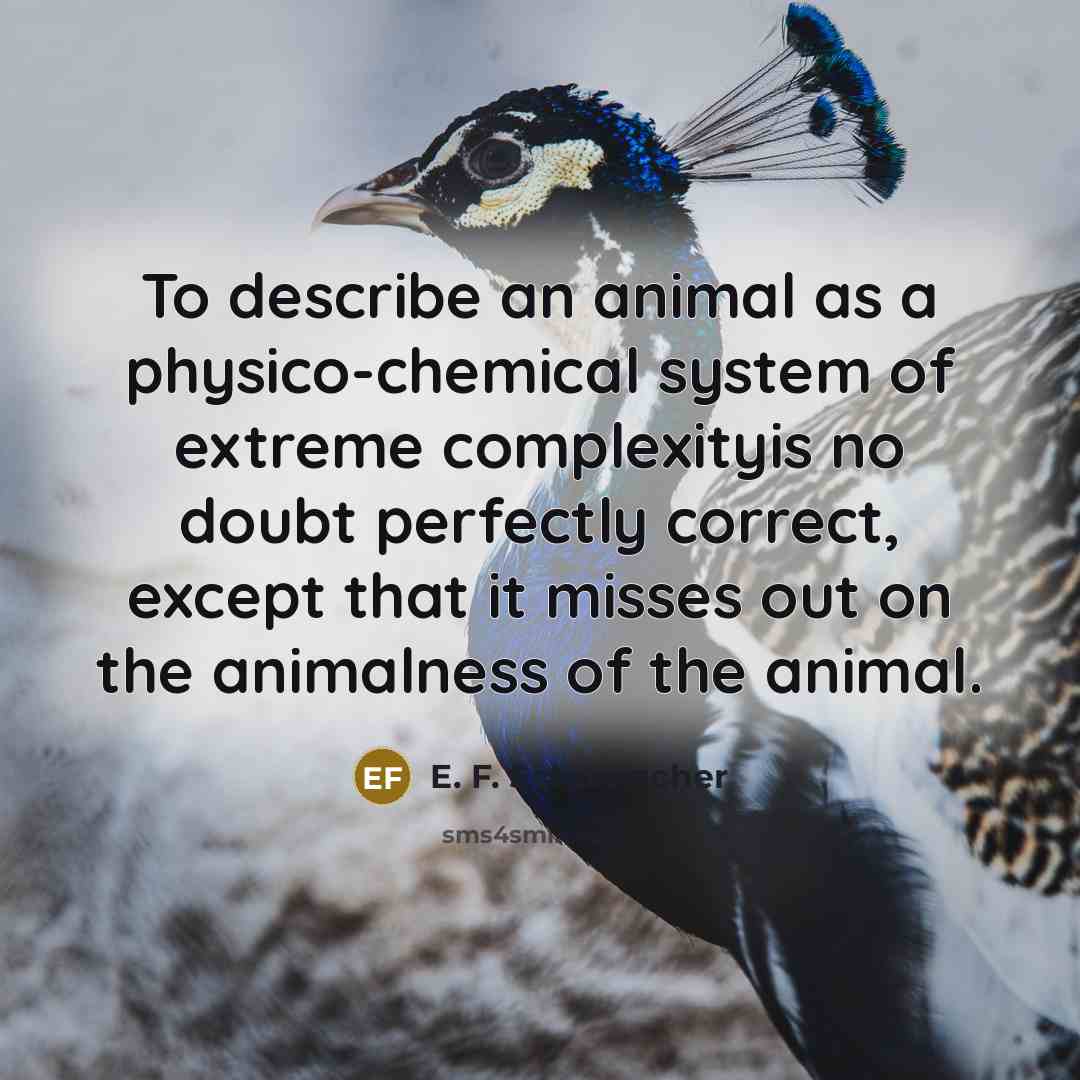 “To describe an animal as a physico-chemical system of extreme…” quote by E. F. Schumacher
