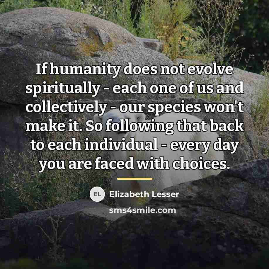 “If humanity does not evolve spiritually - each one of…” quote by Elizabeth Lesser