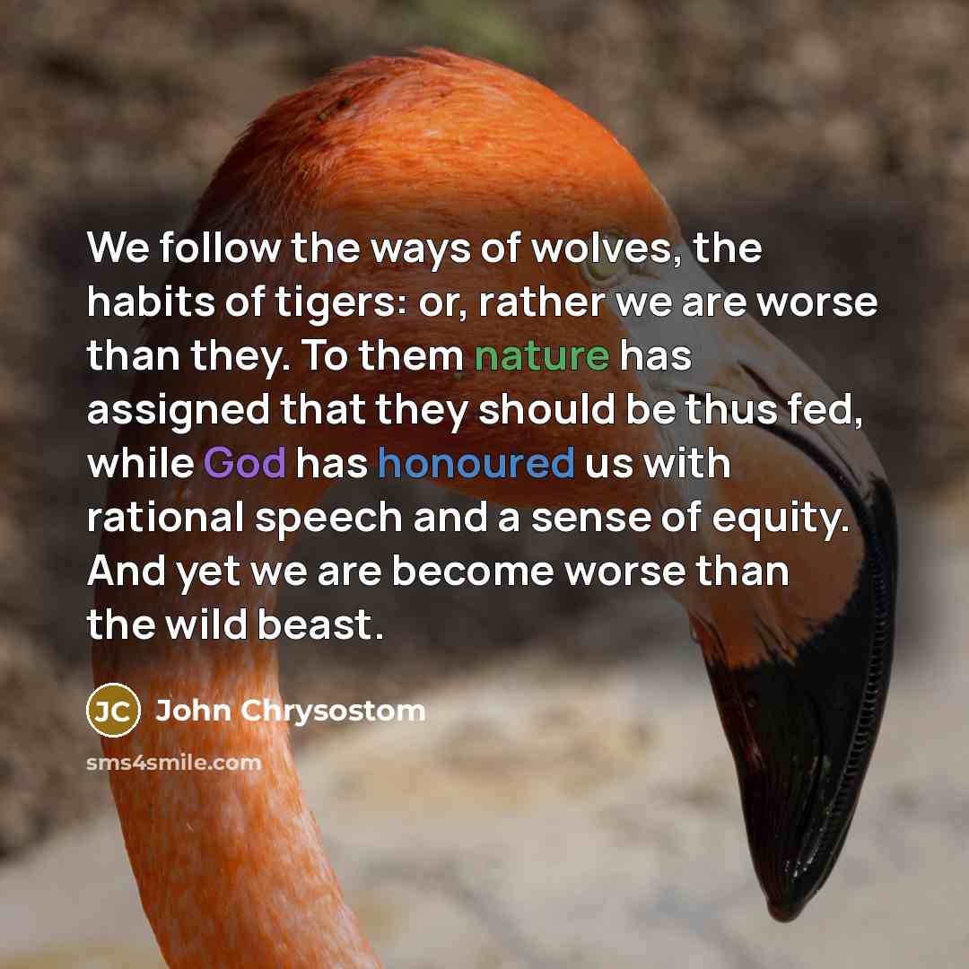 “We follow the ways of wolves, the habits of tigers:…” quote by John Chrysostom