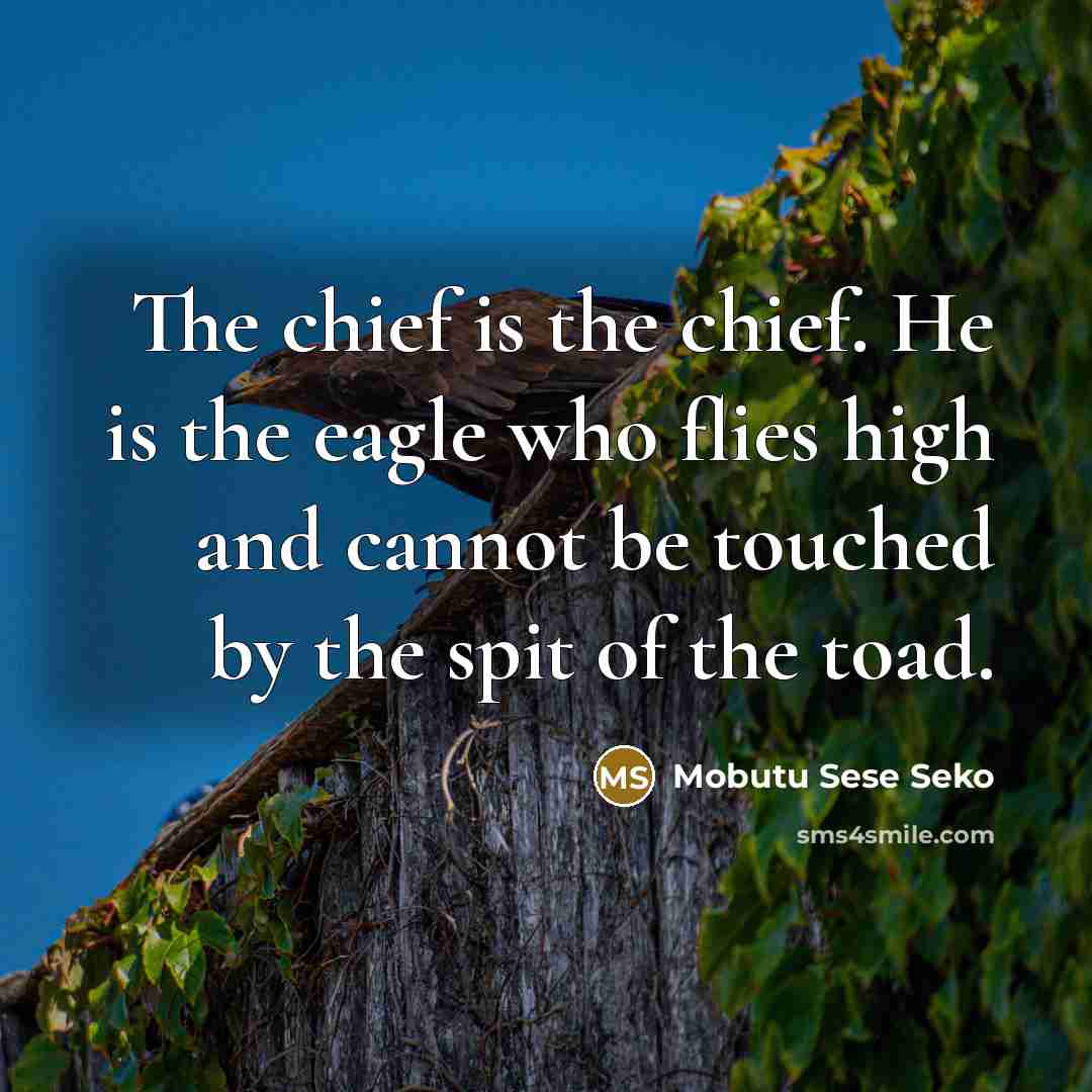 “The chief is the chief. He is the eagle who…” quote by Mobutu Sese Seko