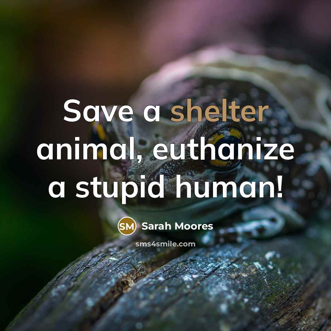 “Save a shelter animal, euthanize a stupid human!…” quote by Sarah Moores