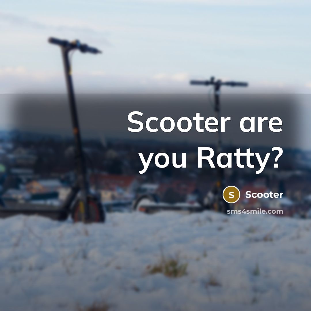 “Scooter are you Ratty?” quote by Scooter