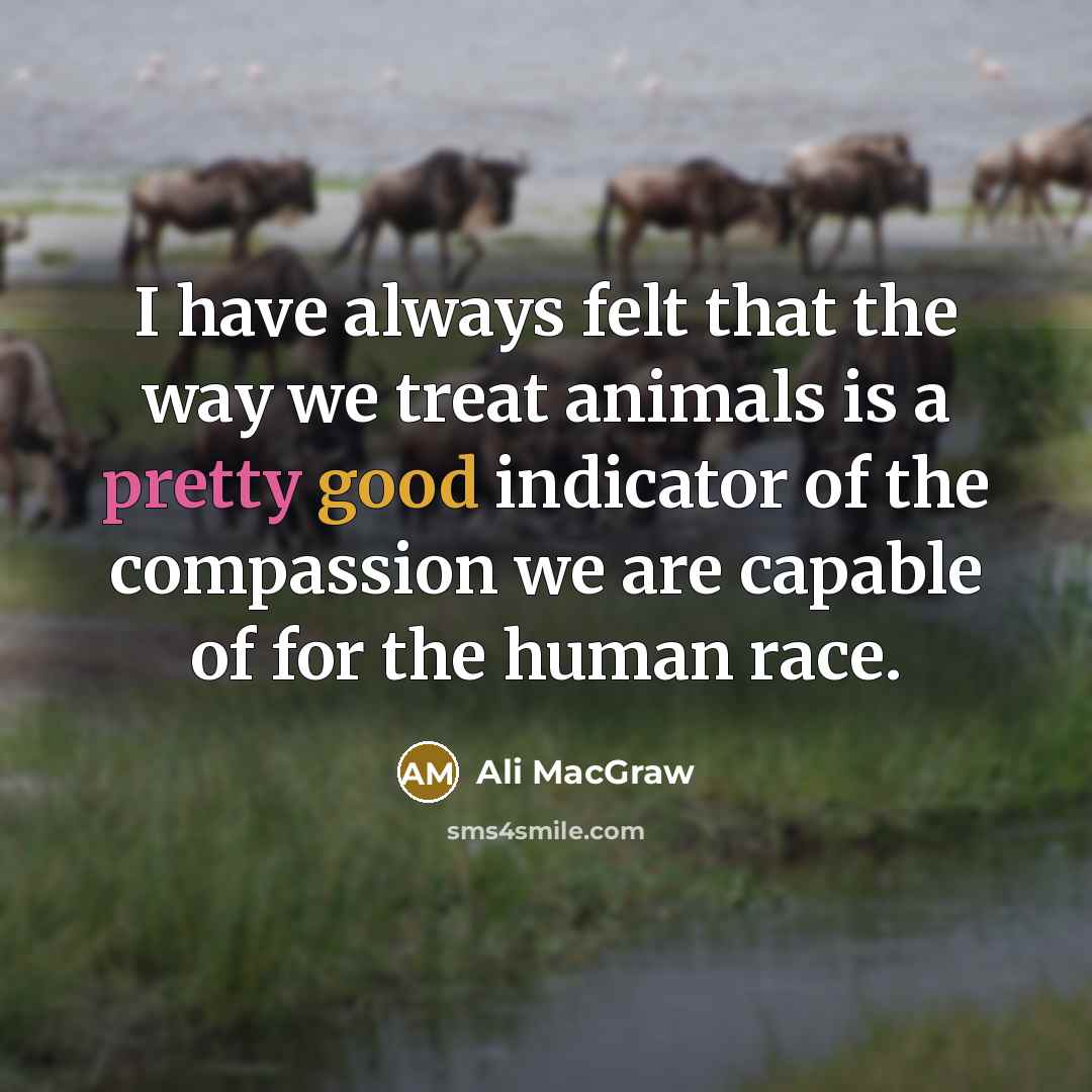 “I have always felt that the way we treat animals…” quote by Ali MacGraw