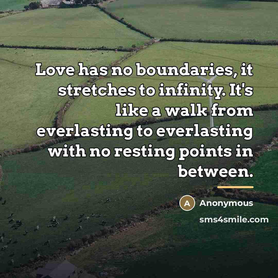 “Love has no boundaries, it stretches to infinity. It's like…” quote by Anonymous