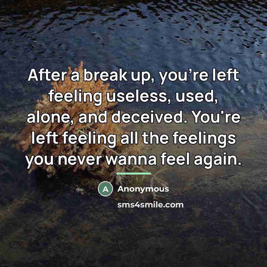 “After a break up, you're left feeling useless, used, alone,…” quote by Anonymous