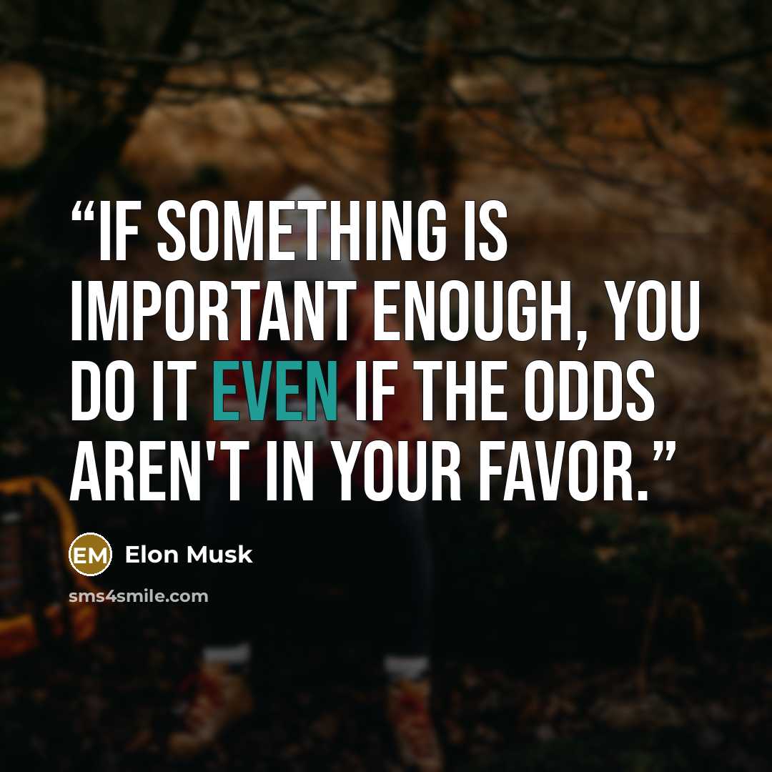 “If something is important enough, you do it even if the odds aren't in your favor.” quote by Elon Musk