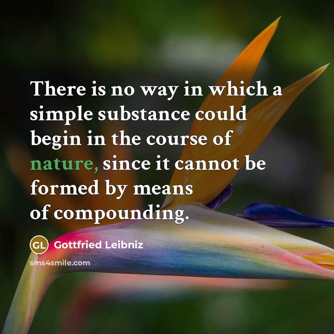 “There is no way in which a simple substance could…” quote by Gottfried Leibniz