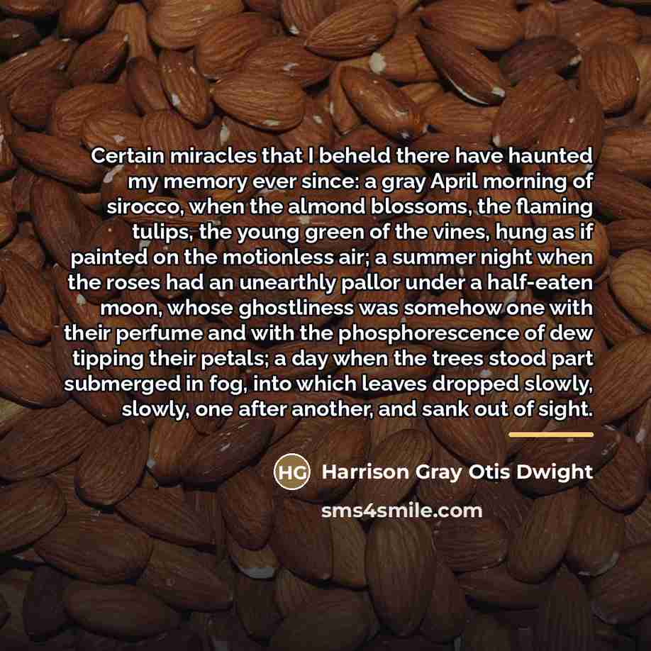 “Certain miracles that I beheld there have haunted my memory…” quote by Harrison Gray Otis Dwight