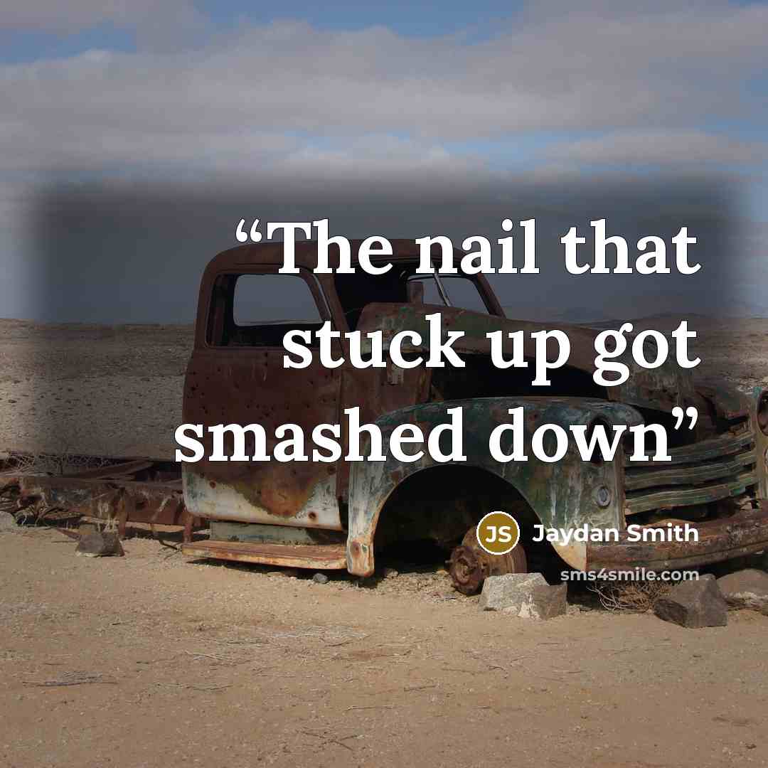 “The nail that stuck up got smashed down” quote by Jaydan Smith