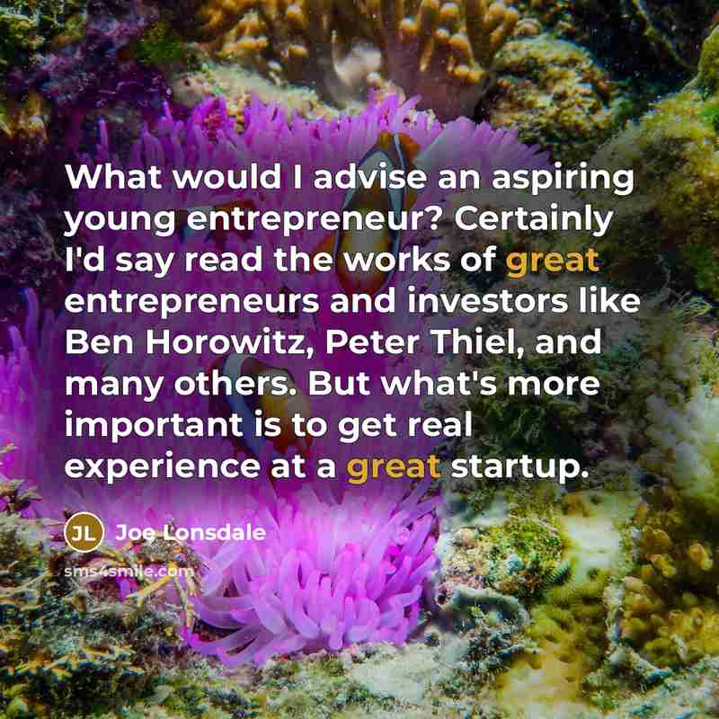 “What would I advise an aspiring young entrepreneur? Certainly I'd…” quote by Joe Lonsdale