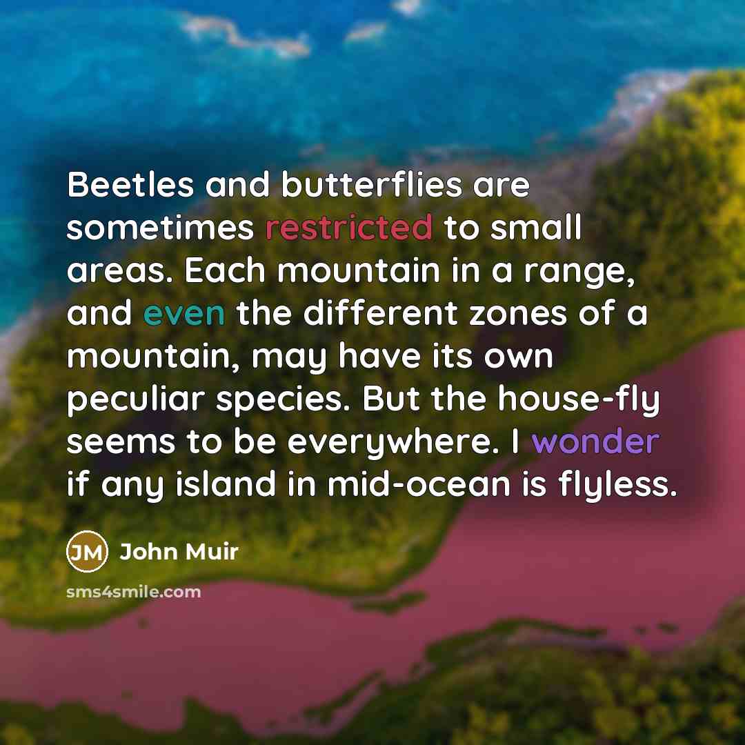 “Beetles and butterflies are sometimes restricted to small areas. Each mountain in a range, and even the different zones of a mountain, may have its own peculiar species. But the house-fly seems to be everywhere. I wonder if any island in mid-ocean is flyless.” quote by John Muir