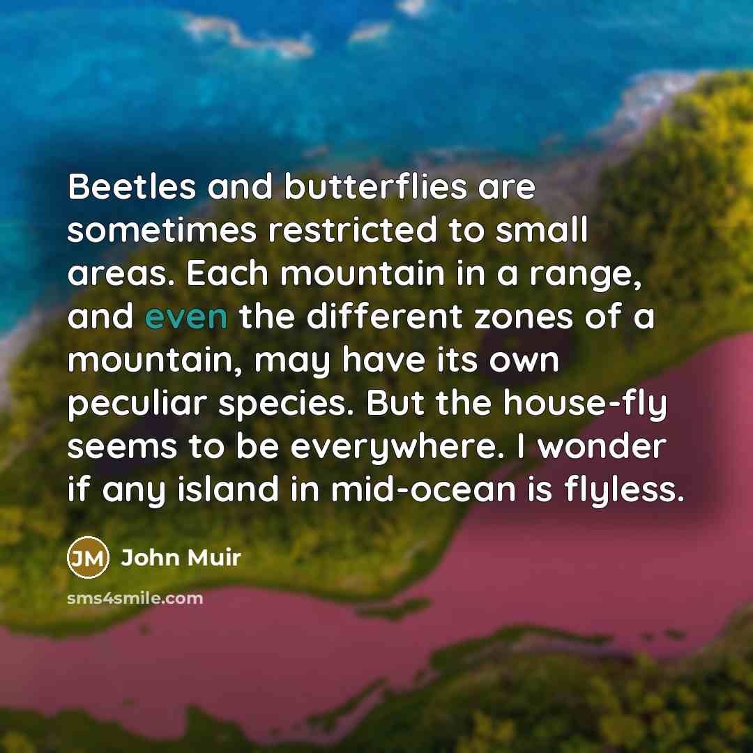 “Beetles and butterflies are sometimes restricted to small areas. Each…” quote by John Muir