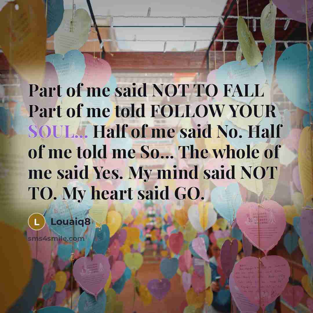 “Part of me said NOT TO FALL Part of me…” quote by Louaiq8