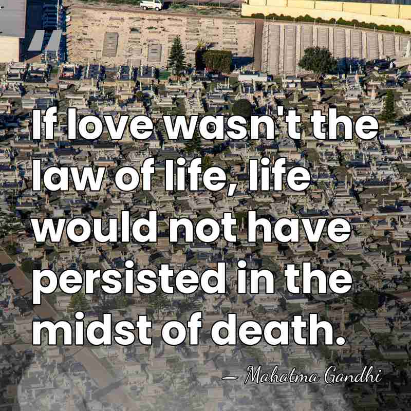 If love wasn't the law of life, life would not have persisted&hellip; - Mahatma Gandhi
