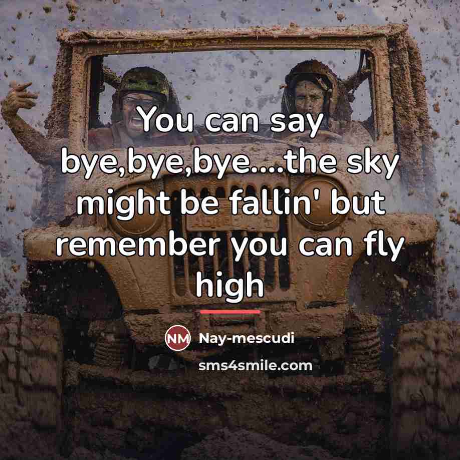 “You can say bye,bye,bye....the sky might be fallin' but remember…” quote by Nay-mescudi