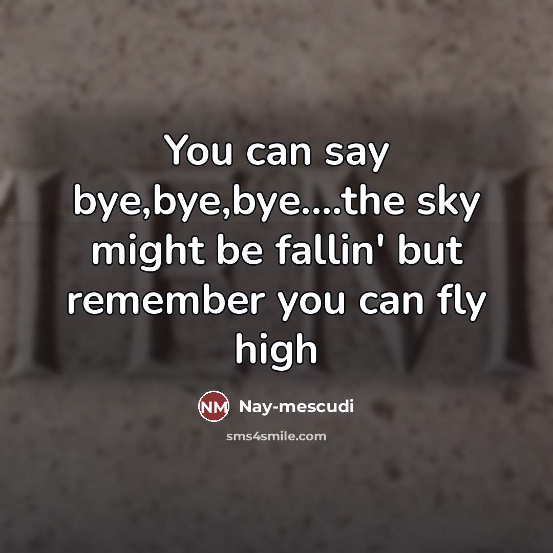 “You can say bye,bye,bye…the sky might be fallin' but remember you can fly high” quote by Nay-mescudi