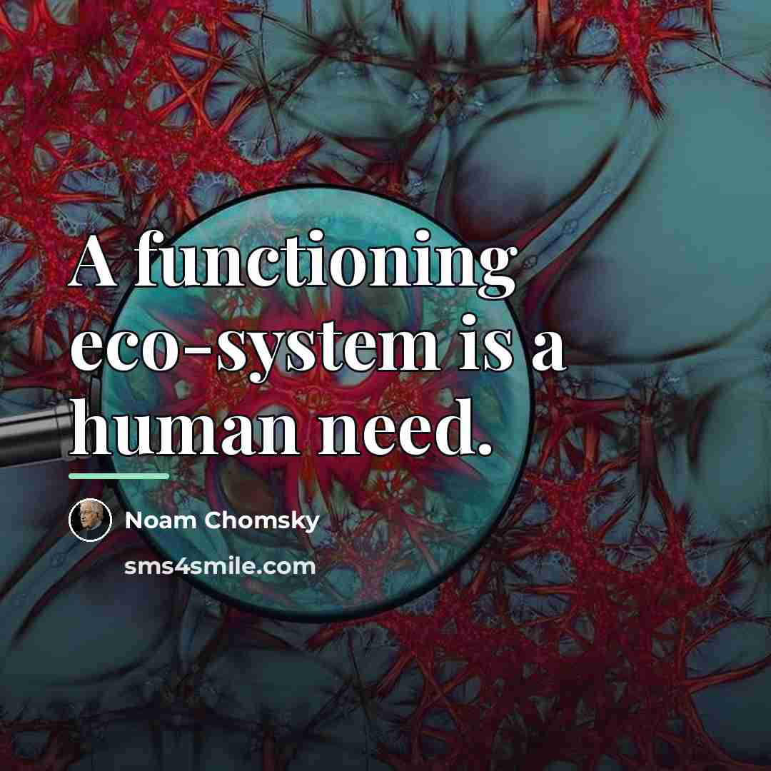 “A functioning eco-system is a human need.…” quote by Noam Chomsky