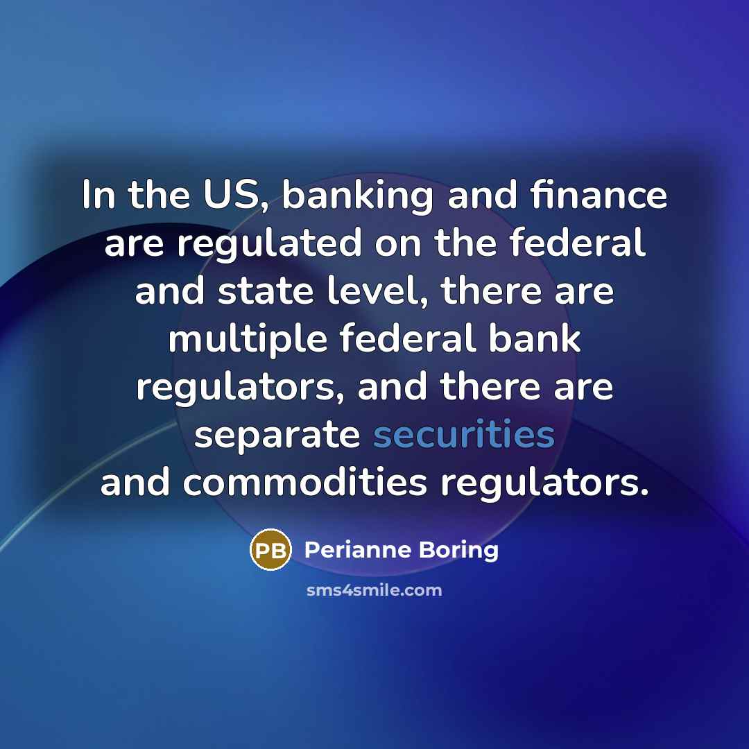 “In the US, banking and finance are regulated on the…” quote by Perianne Boring