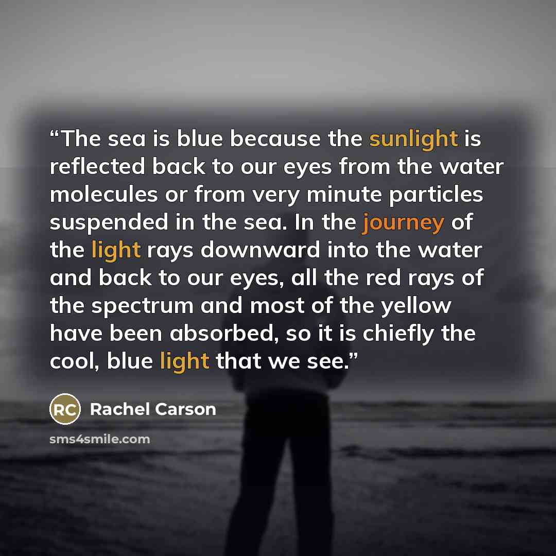 “The sea is blue because the sunlight is reflected back to our eyes from the water molecules or from very minute particles suspended in the sea. In the journey of the light rays downward into the water and back to our eyes, all the red rays of the spectrum and most of the yellow have been absorbed…” quote by Rachel Carson