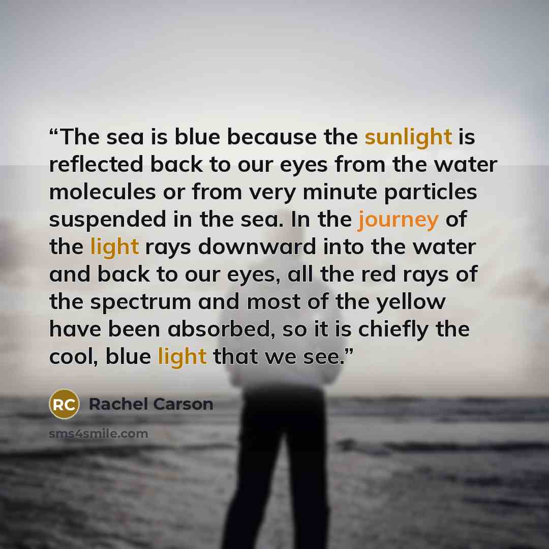 “The sea is blue because the sunlight is reflected back to our eyes from the water molecules or from very minute particles suspended in the sea. In the journey of the light rays downward into the water and back to our eyes, all the red rays of the spectrum and most of the yellow have been absorbed…” quote by Rachel Carson