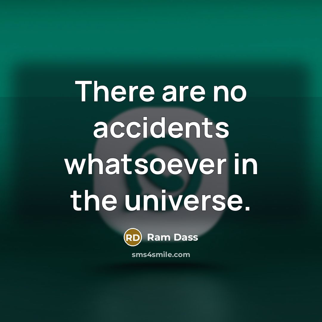 “There are no accidents whatsoever in the universe.…” quote by Ram Dass