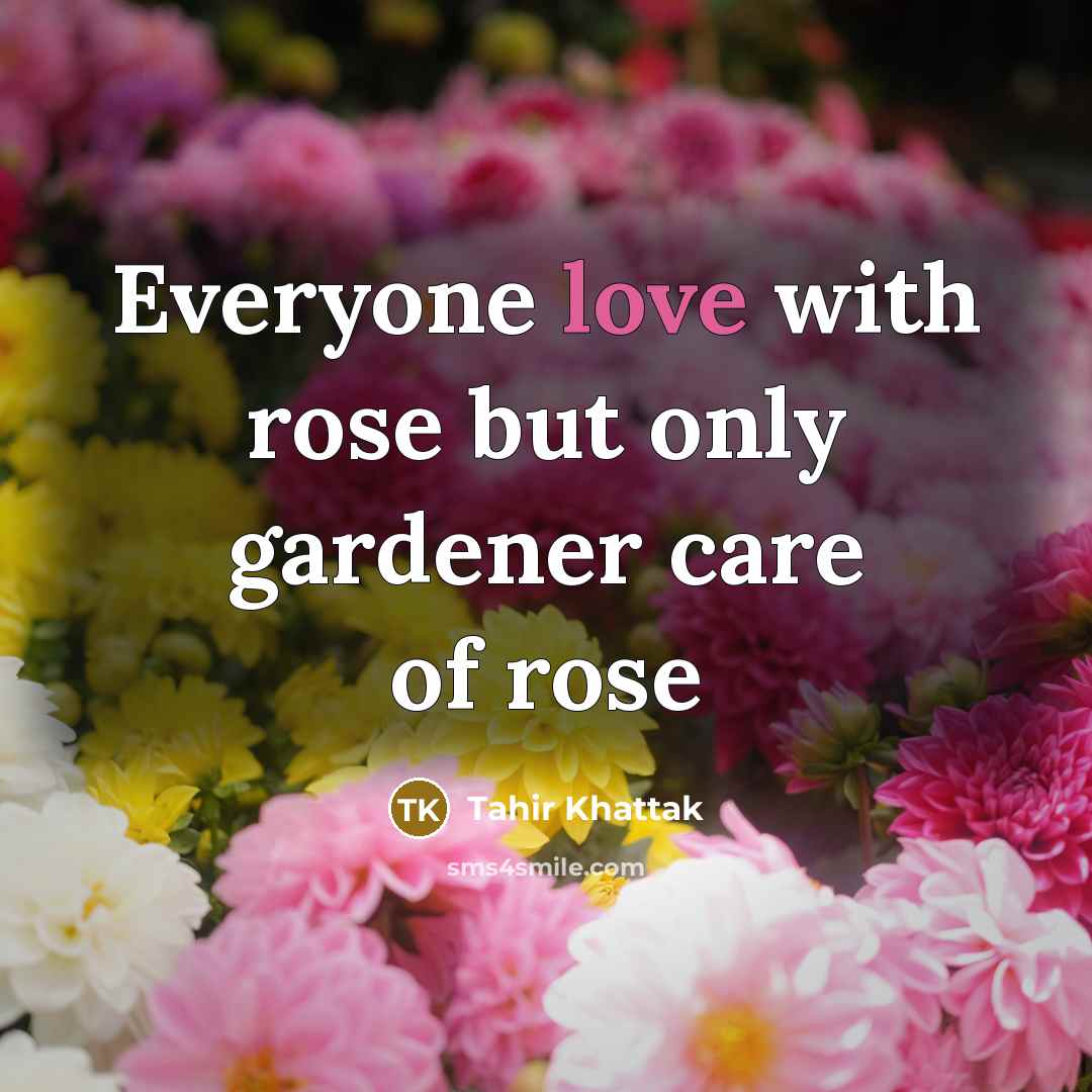 “Everyone love with rose but only gardener care of rose” quote by Tahir Khattak