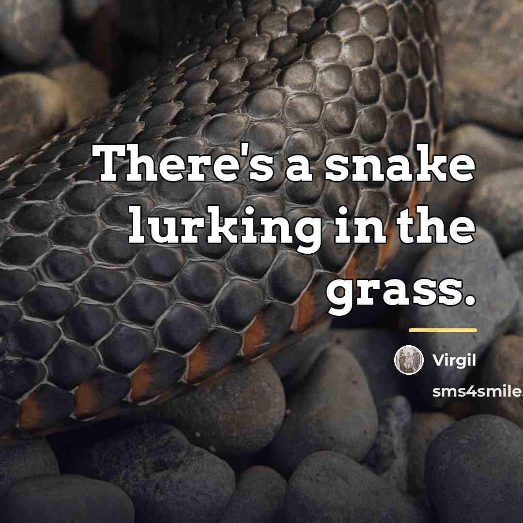“There's a snake lurking in the grass.…” quote by Virgil