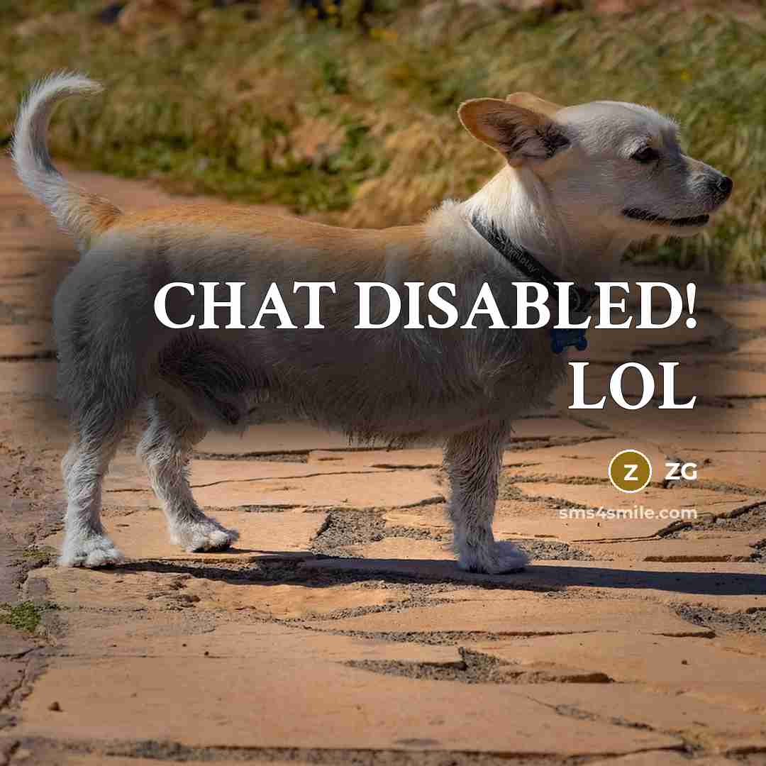 “CHAT DISABLED! LOL…” quote by ZG