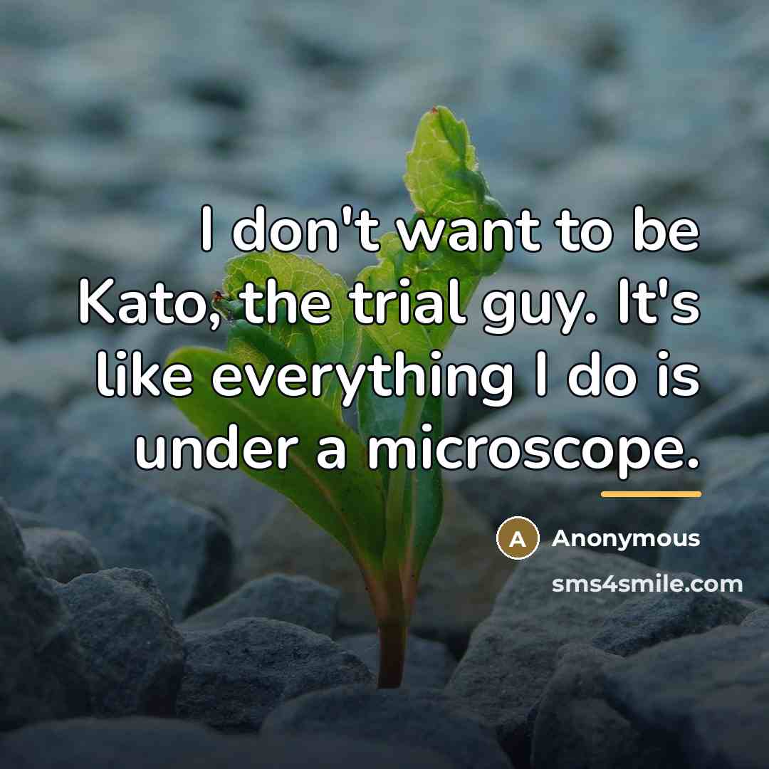 “I don't want to be Kato, the trial guy. It's…” quote by Anonymous
