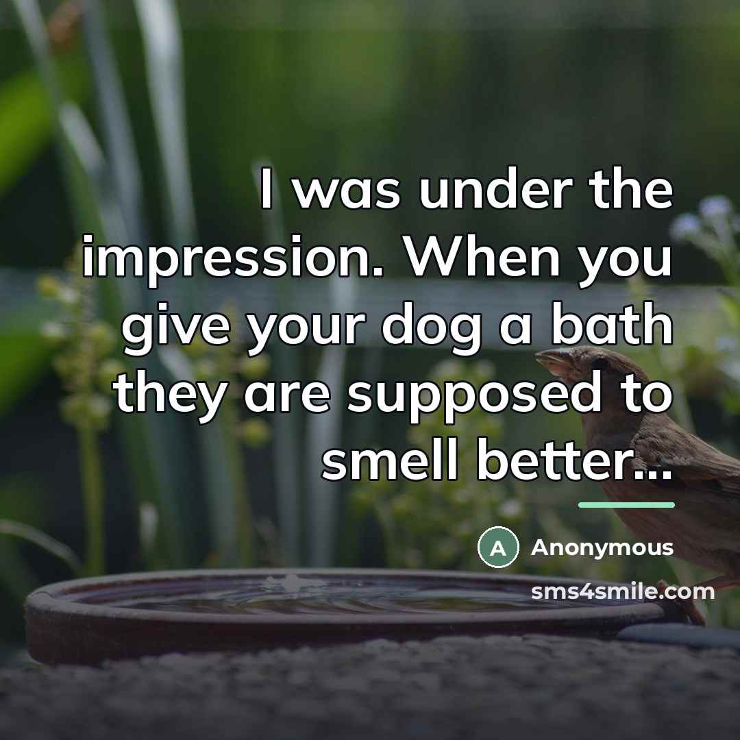 “I was under the impression. When you give your dog…” quote by Anonymous