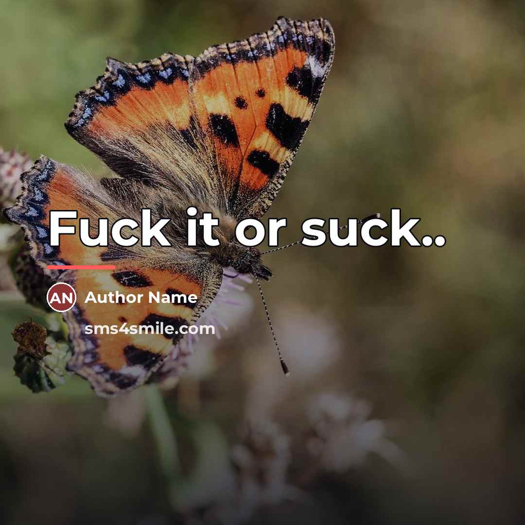 “Fuck it or suck..…” quote by Author Name