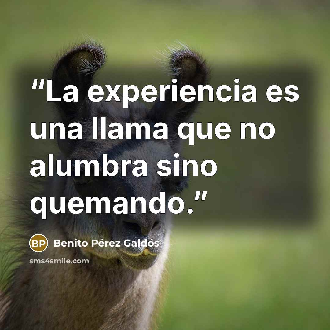“La experiencia es una llama que no alumbra sino quemando.” quote by Benito Pérez Galdós