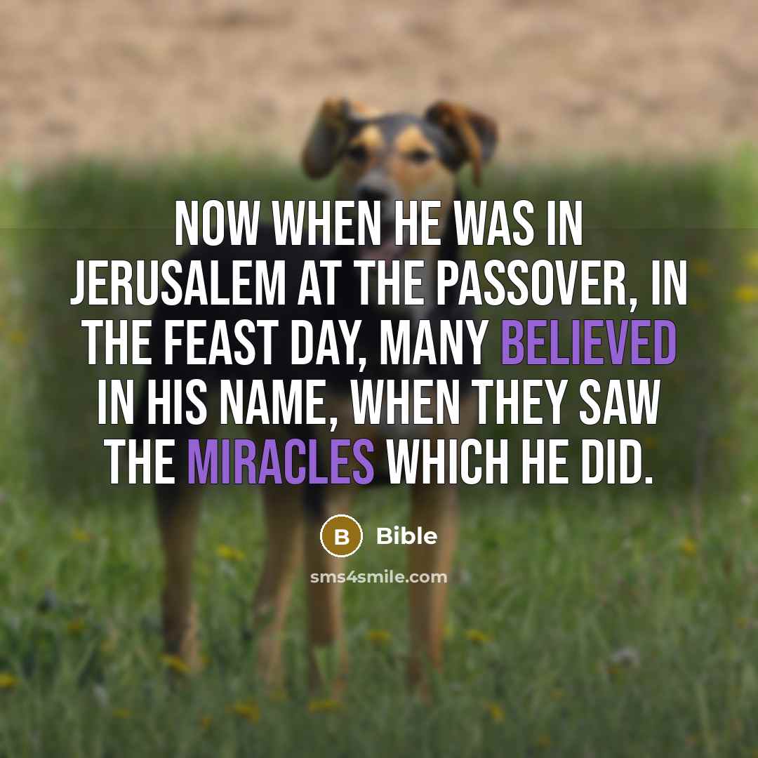 “Now when he was in Jerusalem at the Passover, in the feast day, many believed in his name, when they saw the miracles which he did.” quote by Bible