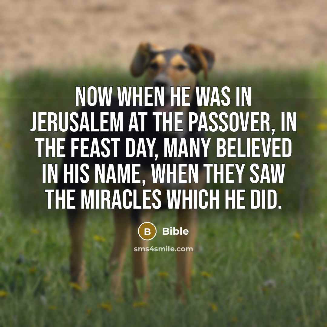 “Now when he was in Jerusalem at the Passover, in…” quote by Bible
