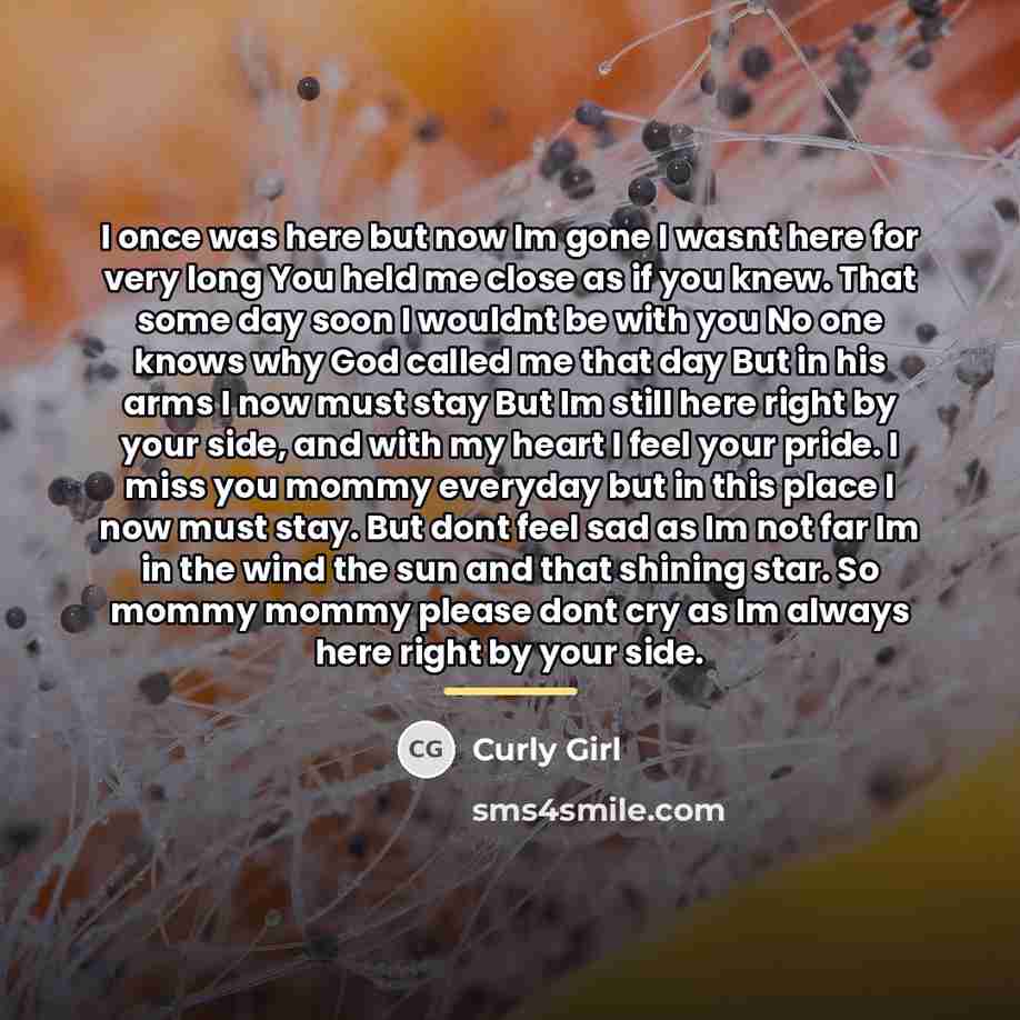 “I once was here but now Im gone I wasnt…” quote by Curly Girl