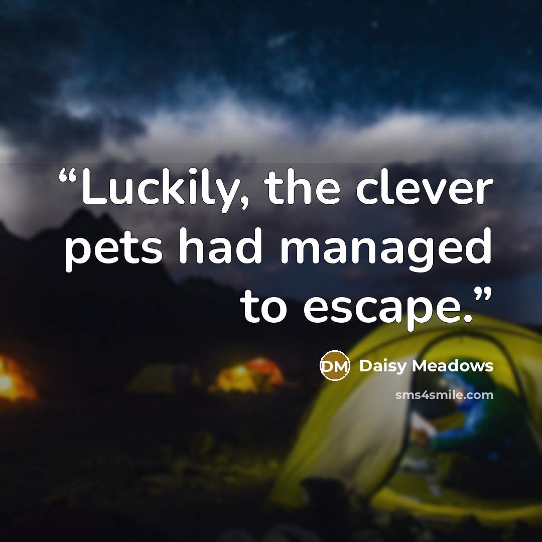 “Luckily, the clever pets had managed to escape.” quote by Daisy Meadows