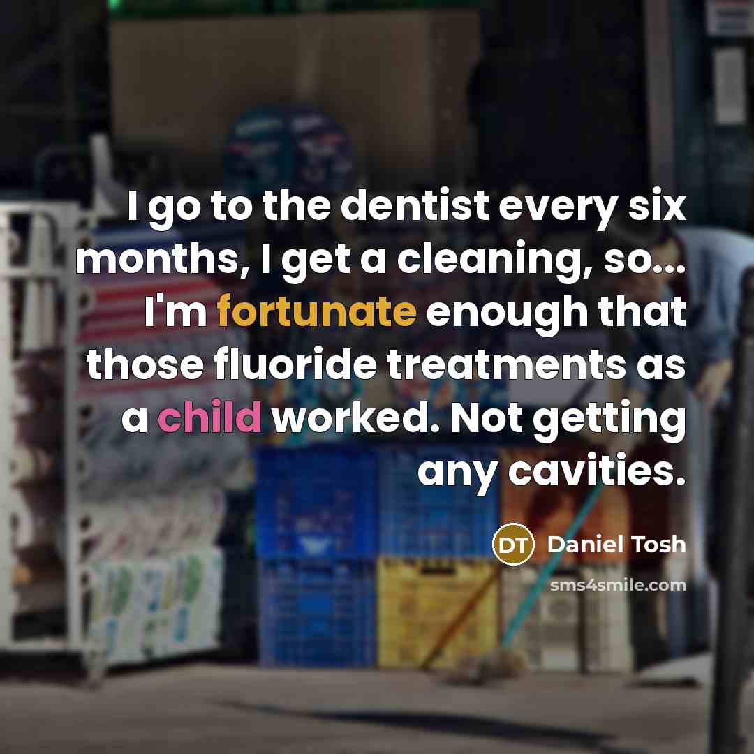 “I go to the dentist every six months, I get…” quote by Daniel Tosh