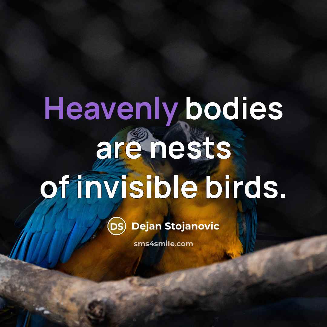 “Heavenly bodies are nests of invisible birds.…” quote by Dejan Stojanovic