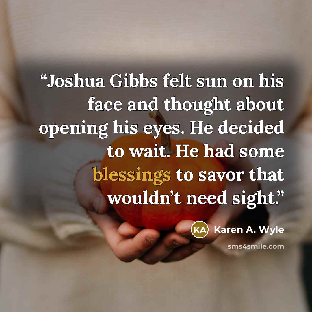 “Joshua Gibbs felt sun on his face and thought about opening his eyes. He decided to wait. He had some blessings to savor that wouldn’t need sight.” quote by Karen A. Wyle