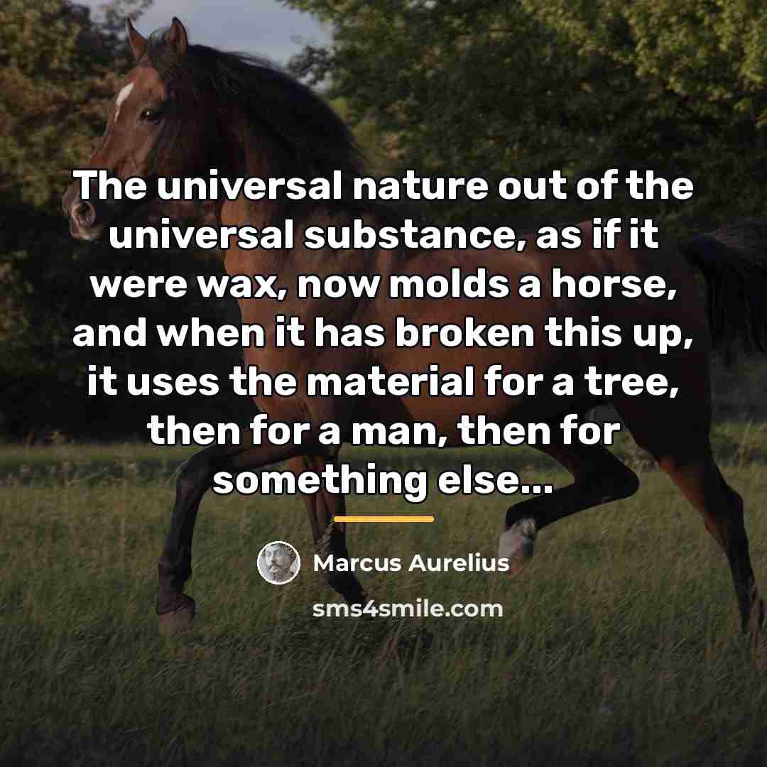 “The universal nature out of the universal substance, as if…” quote by Marcus Aurelius