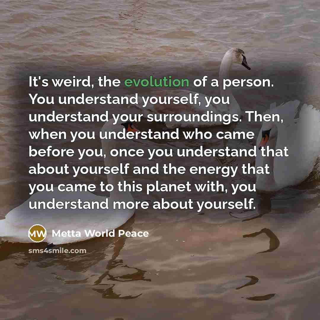 “It's weird, the evolution of a person. You understand yourself,…” quote by Metta World Peace