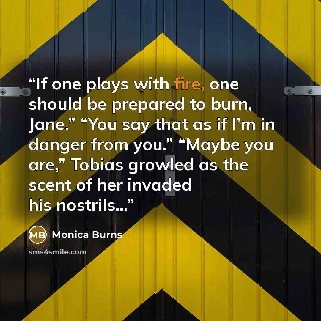 “If one plays with fire, one should be prepared to burn, Jane.” “You say that as if I’m in danger from you.” “Maybe you are,” Tobias growled as the scent of her invaded his nostrils...” quote by Monica Burns