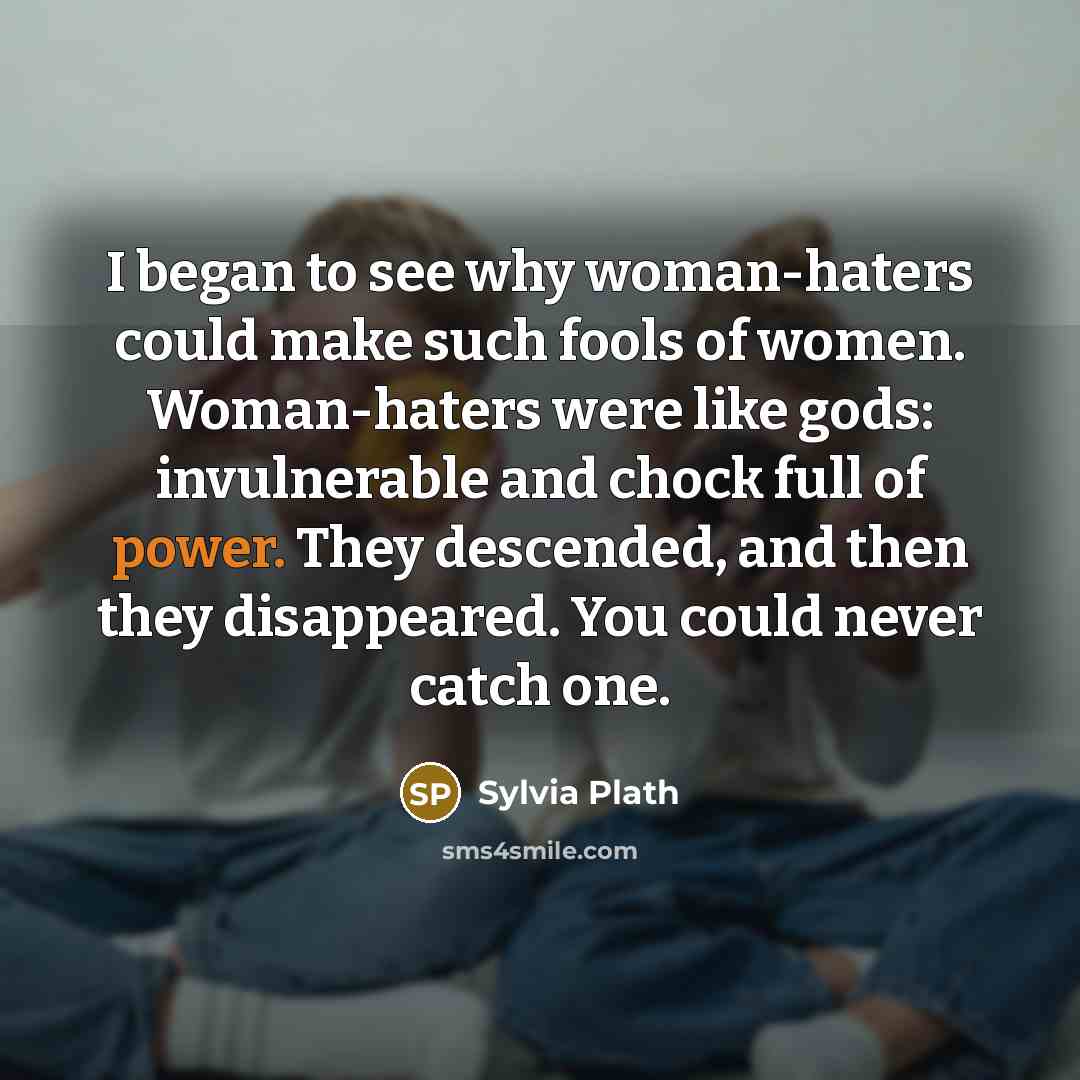 “I began to see why woman-haters could make such fools…” quote by Sylvia Plath