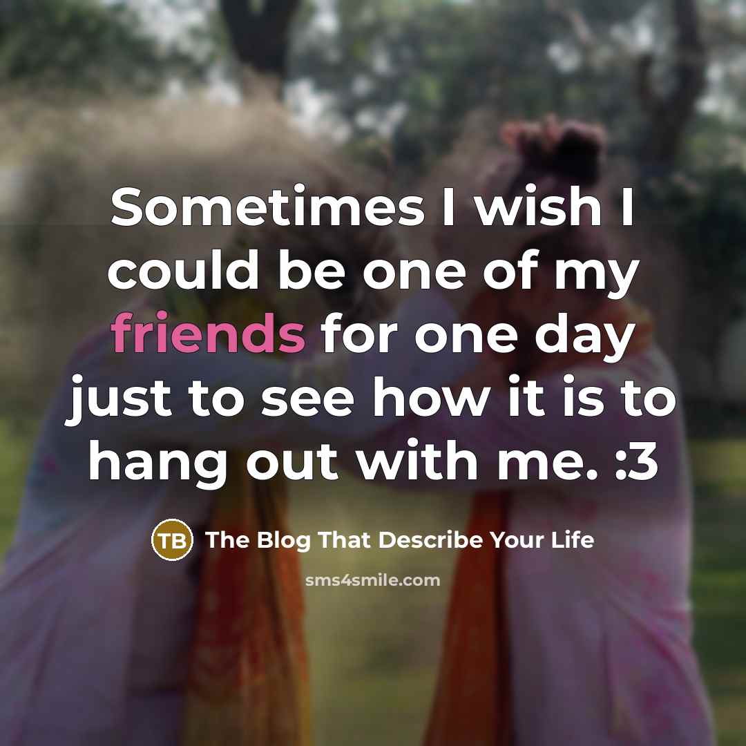 “Sometimes I wish I could be one of my friends…” quote by The Blog That Describe Your Life