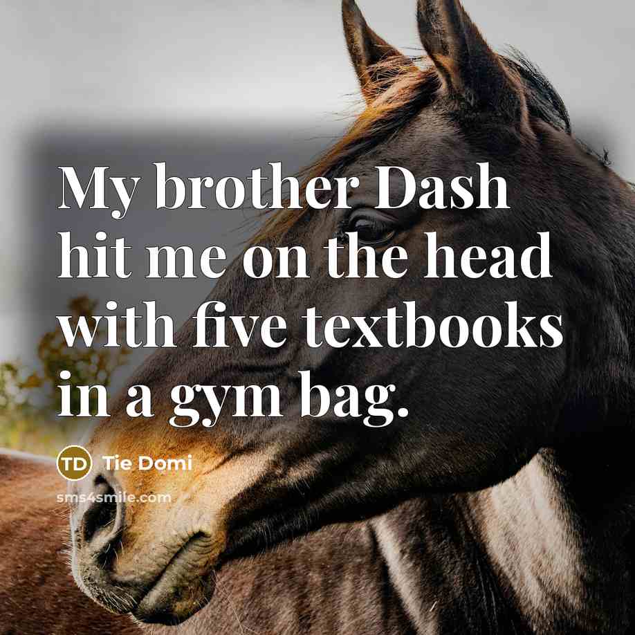 “My brother Dash hit me on the head with five…” quote by Tie Domi