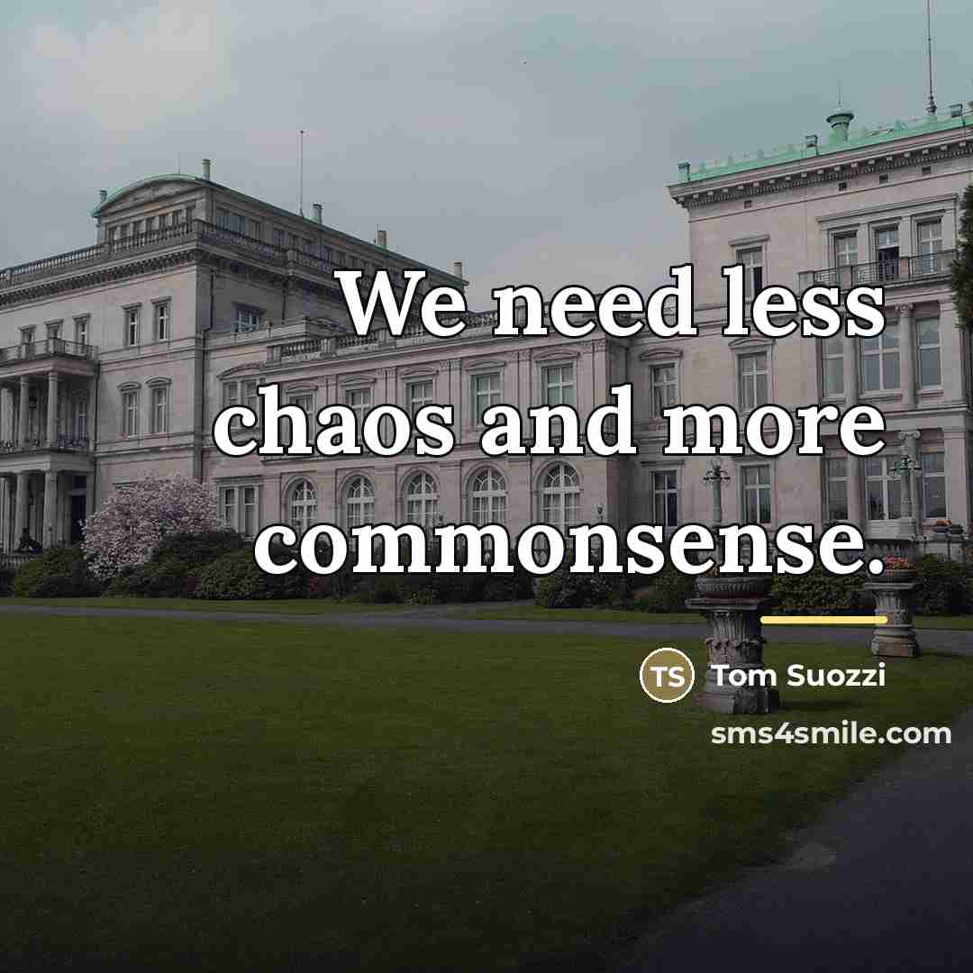 “We need less chaos and more commonsense.…” quote by Tom Suozzi